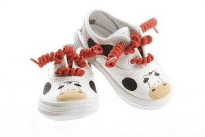 cow-shoes