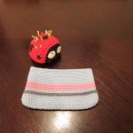 Crochet Pouch Folded Flat